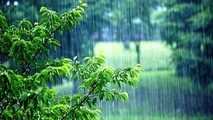 هشدار وقوع بهمن در ارتفاعات / بارش باران در تهران برای امروز و فردا