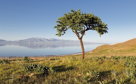 دریاچه اروميه