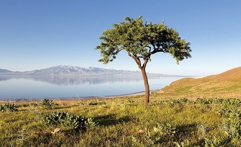 دریاچه اروميه