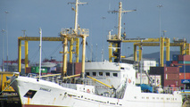Shipowners propose solutions to rising demurrage