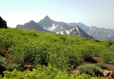 سرمایه ۱۳۰میلیاردی برای ۴پروژه گردشگری کهکیلویه و بویراحمد