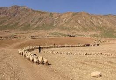 تعرض و انسداد ایلراههای عشایری استان تهران ممنوع است
