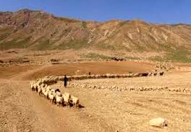 تعرض و انسداد ایلراههای عشایری استان تهران ممنوع است