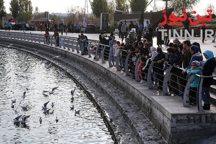 تهران؛ میزبان «پرندگان سیبری»