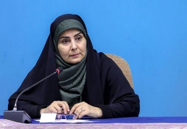 صادق: پیش بینی دولت مانع تأثیرگذاری اسنپ بک می شود