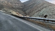 سقوط مرگبار خودرو به دره ۱۷ متری؛ ۲ زن جان باختند