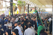 آغاز خدمت‌ رسانی رایگان اتوبوسرانی برای بازگشت زائران اربعین از مرز مهران به تهران