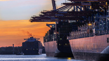 Warm Welcome for BIMCO Cyber Security Clause for Shipping Contracts