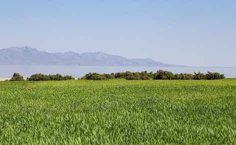 دریاچه اروميه