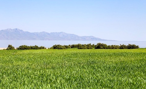 دریاچه اروميه