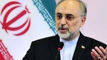 آمریکا می‌خواهد برجام را از درون عقیم کند
