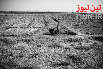 n00026018-r-b-011