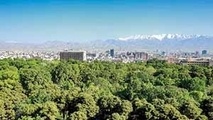 
افتتاح‌های تهران به کما رفت؟
