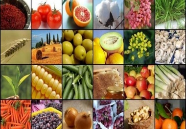 Iran among top ten states in producing agricultural products
