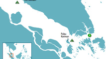 ReCAAP ISC reports three piracy incidents in Asia during April
