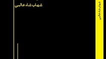 کتاب ظهور شهابی بر آسمان ادبیات ایران