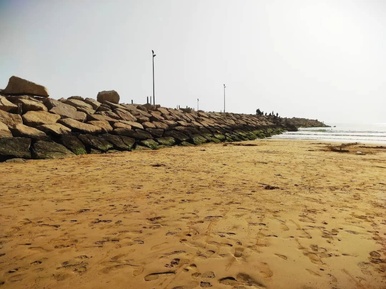 سیراف 5
