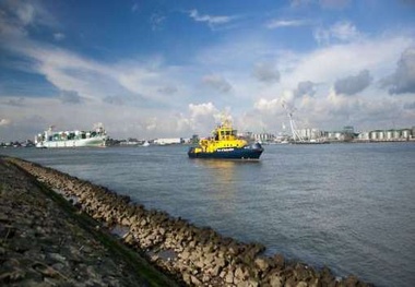 Shipping Companies’ Alliances Stir Fear Among Farmers
