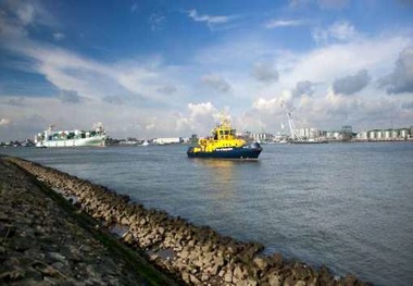 Shipping Companies’ Alliances Stir Fear Among Farmers