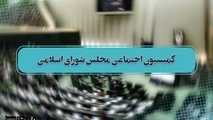 کمیسیون بی خاصیت اجتماعی مجلس را تعطیل کنید!​