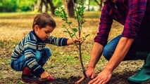 درختان؛ شاهرگ های حیاتی زمین و زمینیان