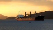 Diana Shipping Signs Charter Deal with Berge Bulk