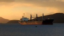 Diana Shipping Signs Charter Deal with Berge Bulk