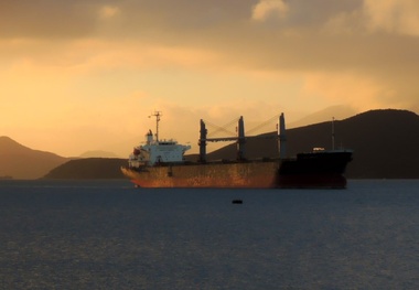 Diana Shipping Signs Charter Deal with Berge Bulk