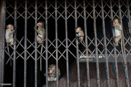 gettyimages-1229844935-2048x2048