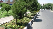 افزایش ۱۵۰۰ هکتاری کمربند سبز تهران تا پایان سال