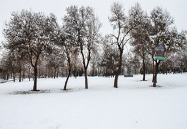 بارش باران و برف در ایلام