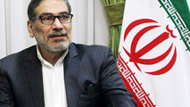 جزئیات تازه از سانحه هواپیمای اوکراینی از زبان دبیر اسبق شورای عالی امنیت ملی