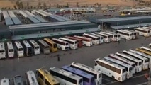 جابه جایی بیش از ۱۳۲ هزار زائر با ناوگان حمل ونقل عمومی به مشهد مقدس