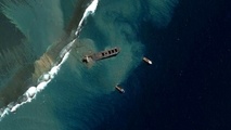Mauritius Oil Clean-up Turns Focus From Ship To Shore