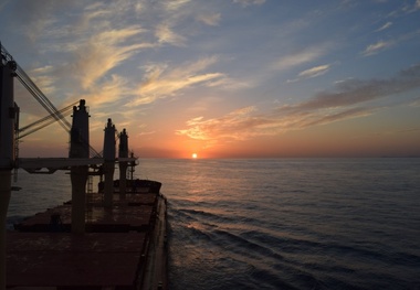 Diana Shipping Offloads 14-Year Old Panamax