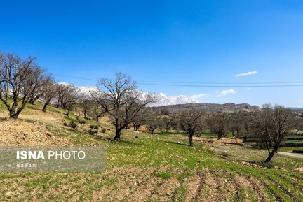 روستایی در دامنه زاگرس 11