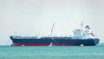 INTERCARGO addresses BWM possibilities and impossibilities