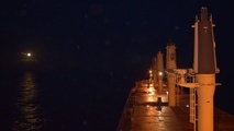 Cargill Hires Diana Shipping’s Capesize