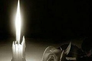 شهادت یکی از رانندگان شرکت مسافربری کوهدشت در حمله هوایی دشمن