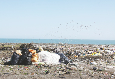 خطرات زیست‌محیطی در کمین بنادر و مردم: در آستانه بحران

