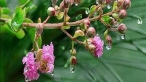 آغاز بارش‌ها از امروز تا پایان هفته/مسافران نیمه شمالی کشور تجهیزات زمستانی داشته باشند