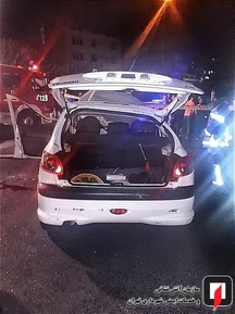 واژگونی پژو 206