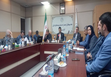 توقف تولید واگن باری سیاستی اشتباه است/تعطیلی سرمایه گذاری در صنعت ریلی 