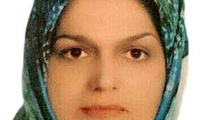 نارسایی‌ ها و چالش‌ های روبرویی با تخلفات ترافیکی و پیامدهای مخرب آن
