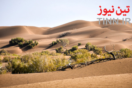 ریگ جن
