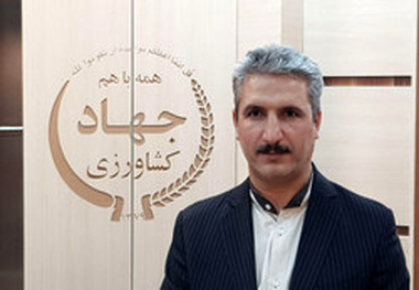 تولید 14هزار تن گلابی از باغات شهرستان قزوین 