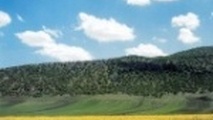 لرستان ظرفیت بالایی در زمینه گردشگری دارد / پرواز عسلویه به خرم‌آباد بزودی برقرار می‌شود