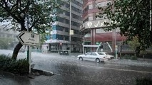 وزش باد شدید در تهران/ افزایش دمای هوا در پایتخت