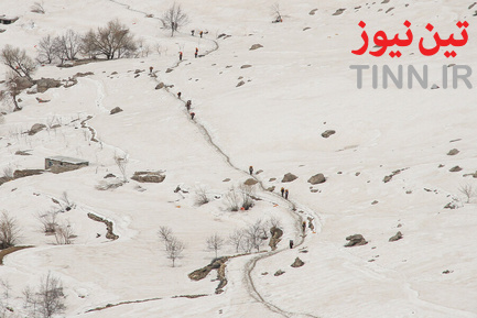 کولبر