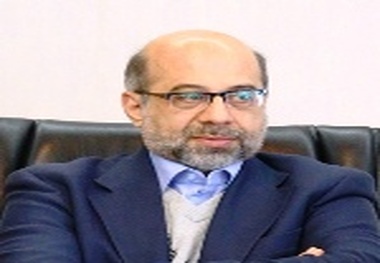 مدیرعامل جدید تام ایران خودرو معرفی شد